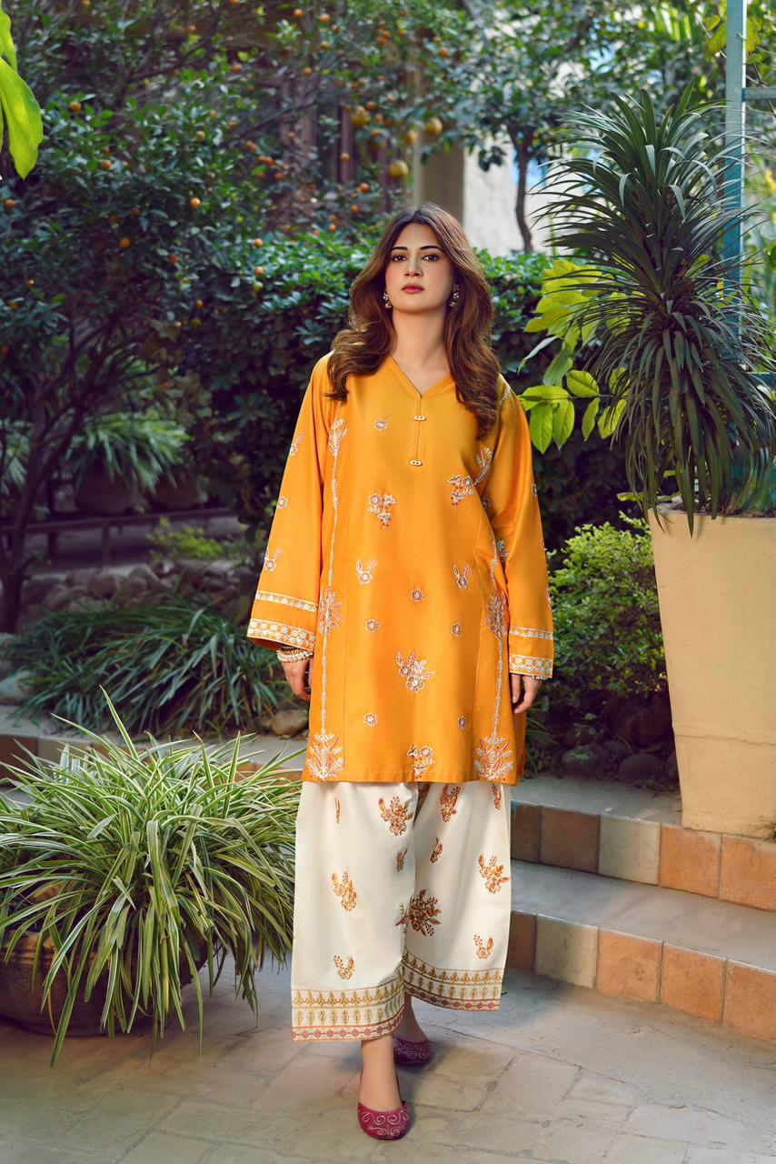 Premium Quality Dhanak 2pc fully embroidered