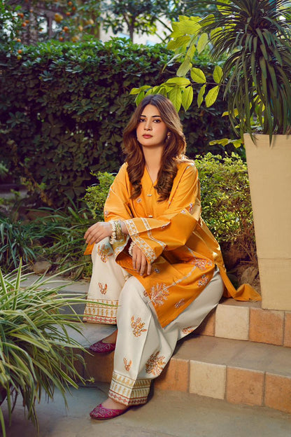 Premium Quality Dhanak 2pc fully embroidered