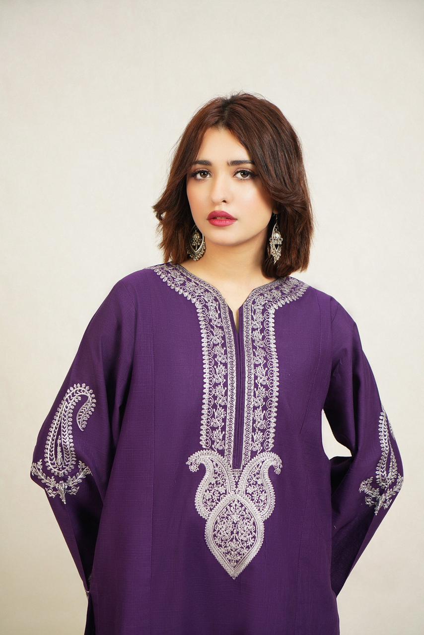 Premium quality Dhanak 2pc fully embroidered