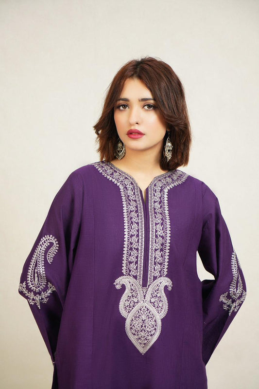 Premium quality Dhanak 2pc fully embroidered