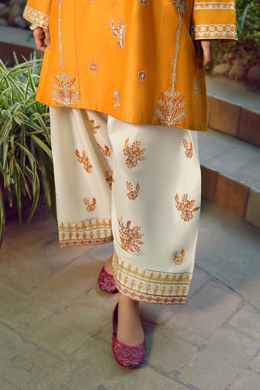 Premium Quality Dhanak 2pc fully embroidered