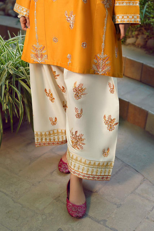 Premium Quality Dhanak 2pc fully embroidered