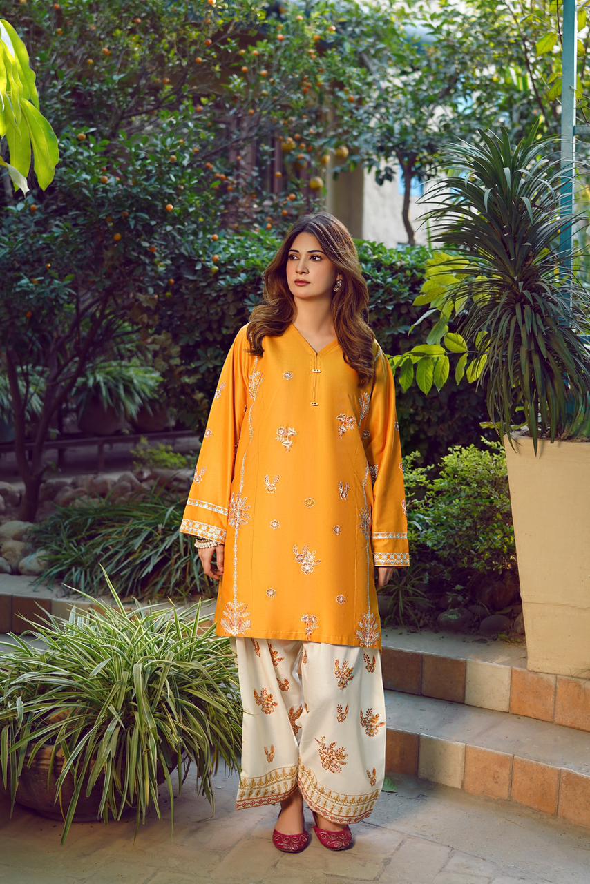 Premium Quality Dhanak 2pc fully embroidered
