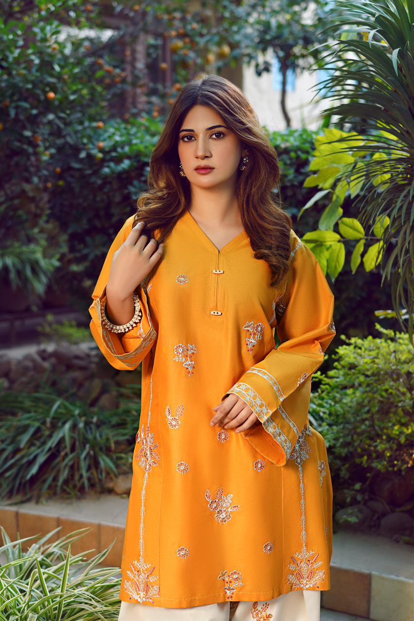 Premium Quality Dhanak 2pc fully embroidered